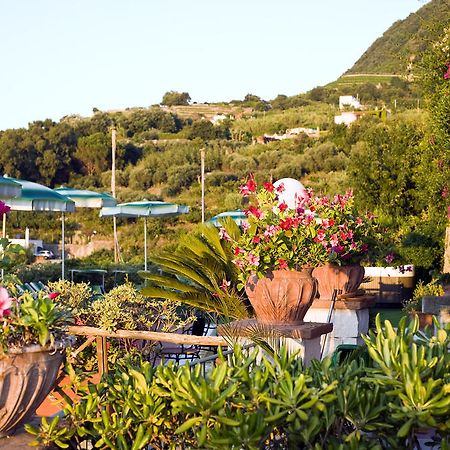 Forio di Ischia Hotel Poggio Del Sole מסעדה תמונה