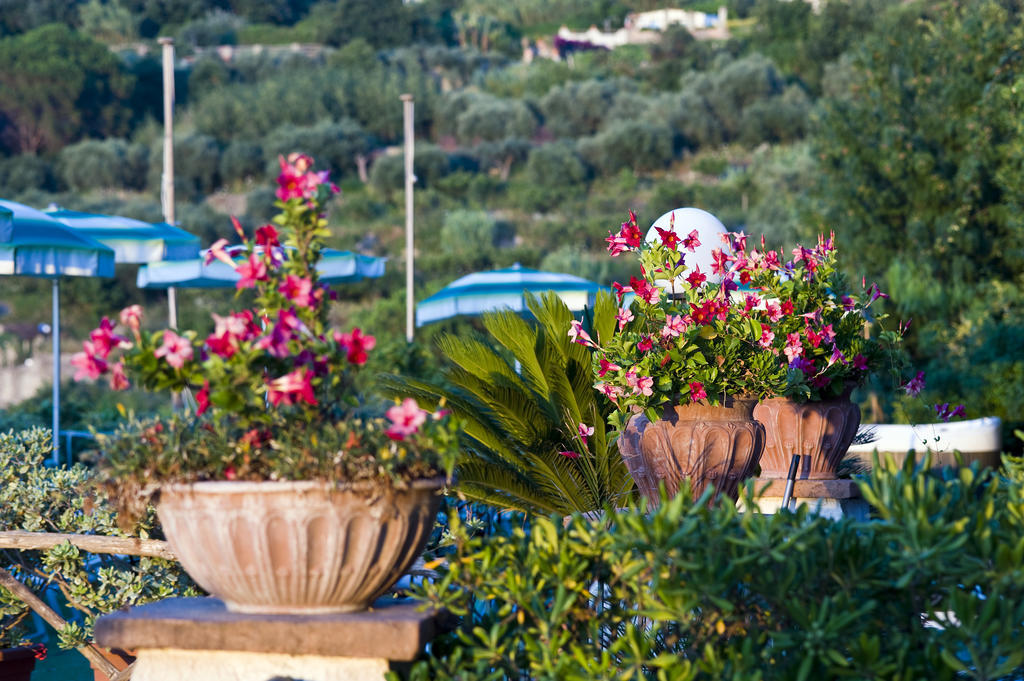 Forio di Ischia Hotel Poggio Del Sole מראה חיצוני תמונה