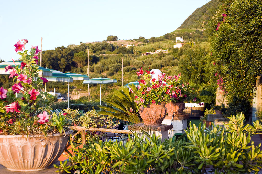 Forio di Ischia Hotel Poggio Del Sole מסעדה תמונה