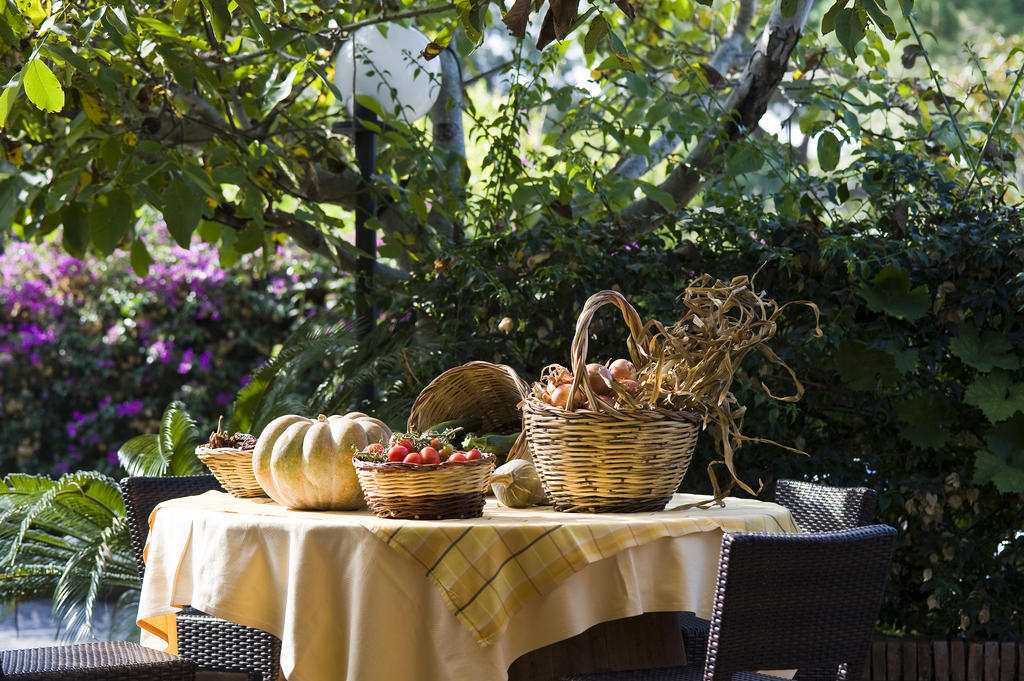 Forio di Ischia Hotel Poggio Del Sole מראה חיצוני תמונה