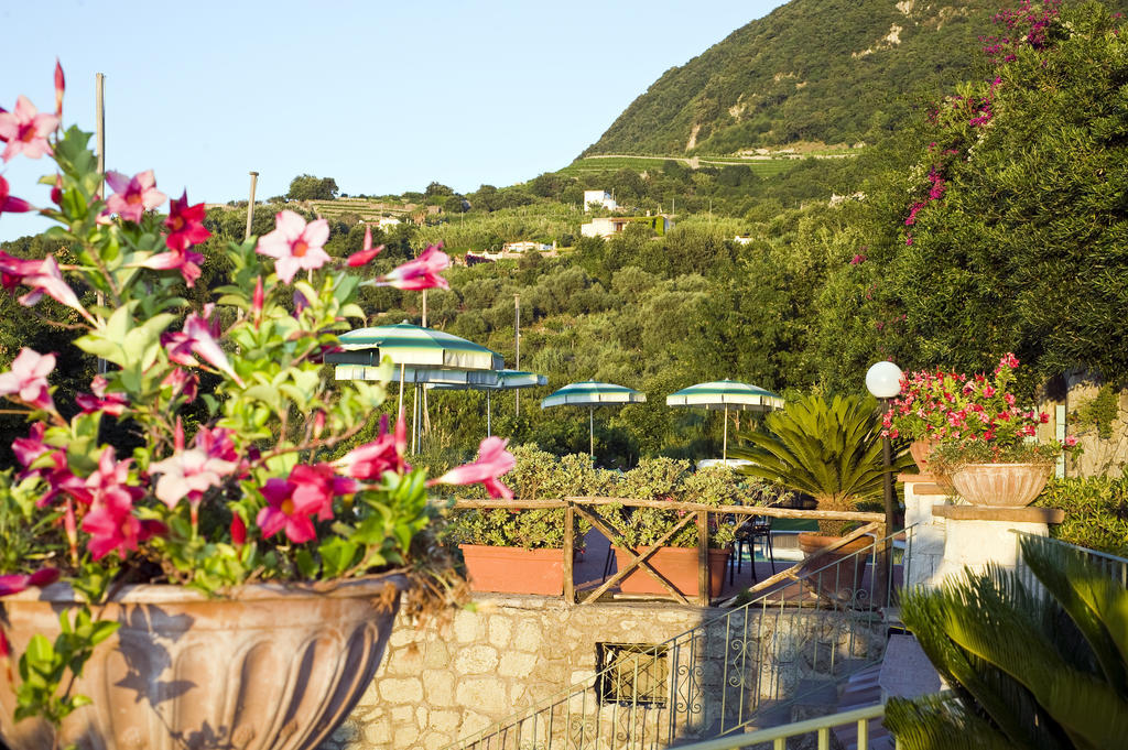 Forio di Ischia Hotel Poggio Del Sole מראה חיצוני תמונה